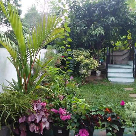 Jungle View One Bedroom Private Apartment Unawatuna Esterno foto