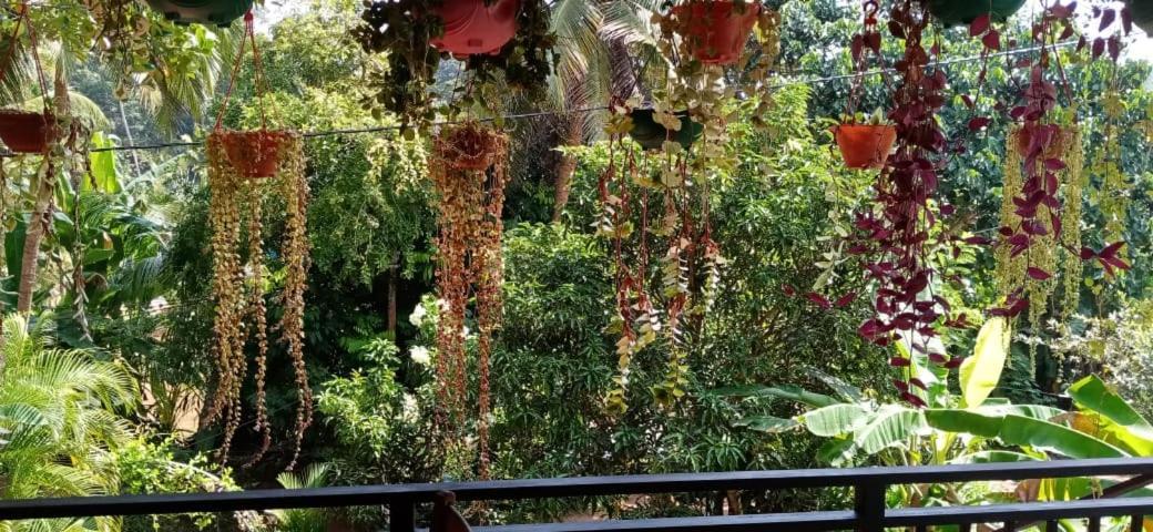 Jungle View One Bedroom Private Apartment Unawatuna Esterno foto