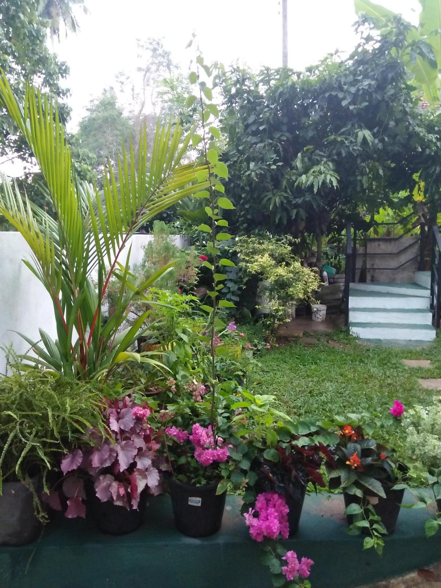 Jungle View One Bedroom Private Apartment Unawatuna Esterno foto